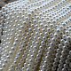 photo-2941444